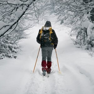 Tips For Visiting Grand Teton National Park In The Winter 