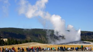 How Yellowstone Spearheaded a Conservation Movement