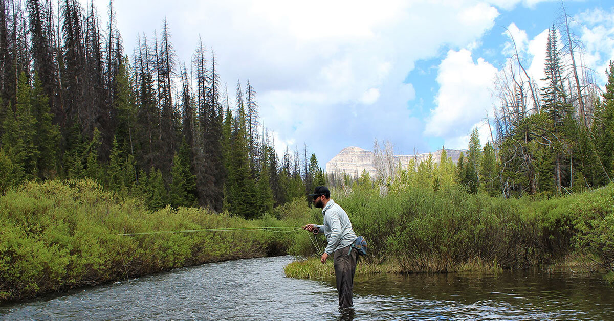 Man fly fishing in a river.