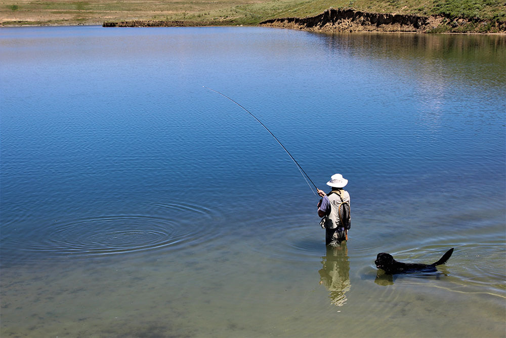 Individual stands in Plains Lake with fly fishing rod, hat, vest and net. A black labrador retriever dog wades in the water nearby.