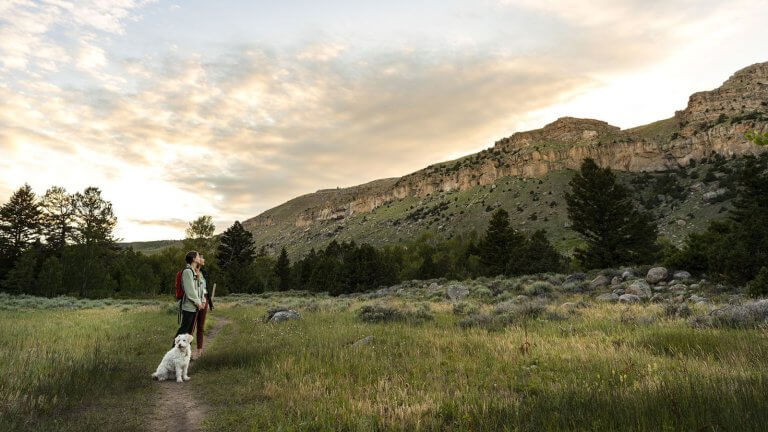 A Guide to Hiking With Your Dog in Wyoming