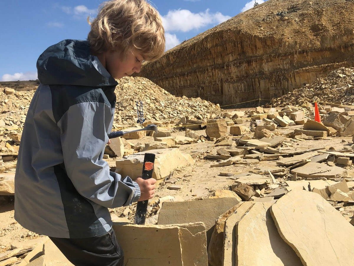 Where to Dig for Fossils in Wyoming - Travel Wyoming