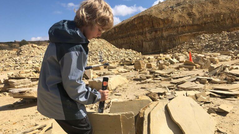 Boy chiseling at rock looking for fossils.