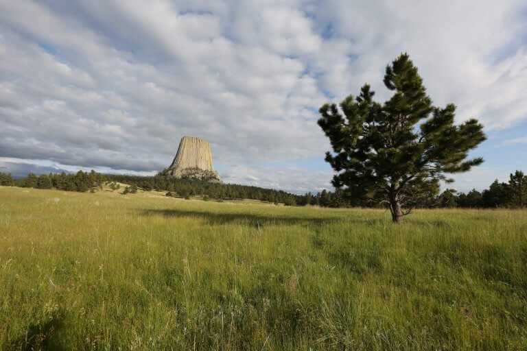 Devils Tower, a national monument and one of the best things to do, sits in the distance amongst grasses.