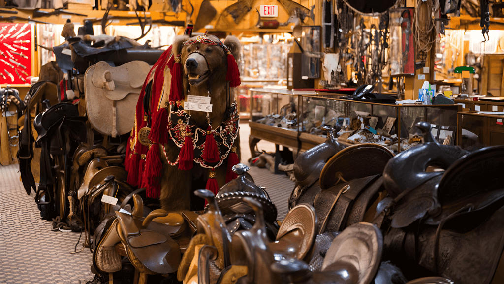 Explore western artifacts and saddles at King's Saddlery & Museum, one of the top attractions in Sheridan, Wyoming.