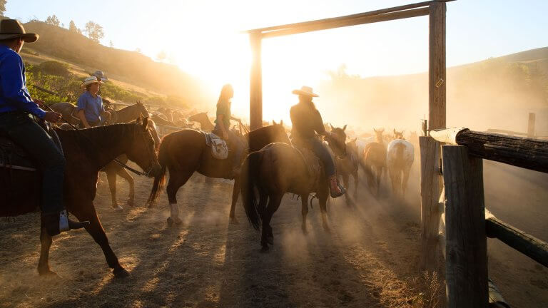 7 Reasons to Stay at a Wyoming Guest Ranch or Dude Ranch