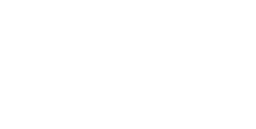 Elyse Guarino, Modern Explorer