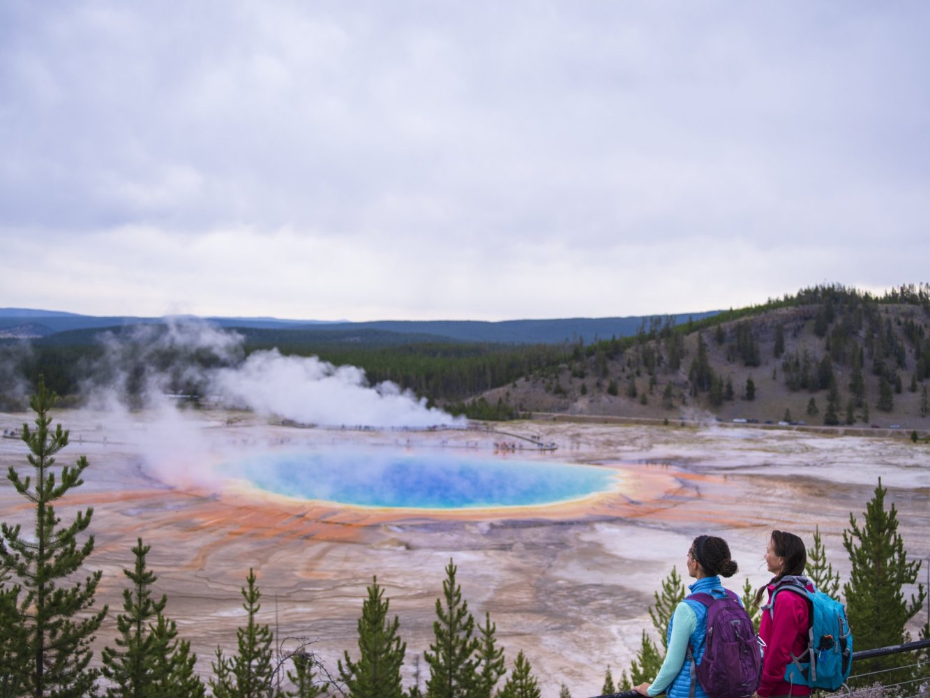 Cowboy Trails & Yellowstone Tales: Exploring Cody, Yellowstone & Jackson