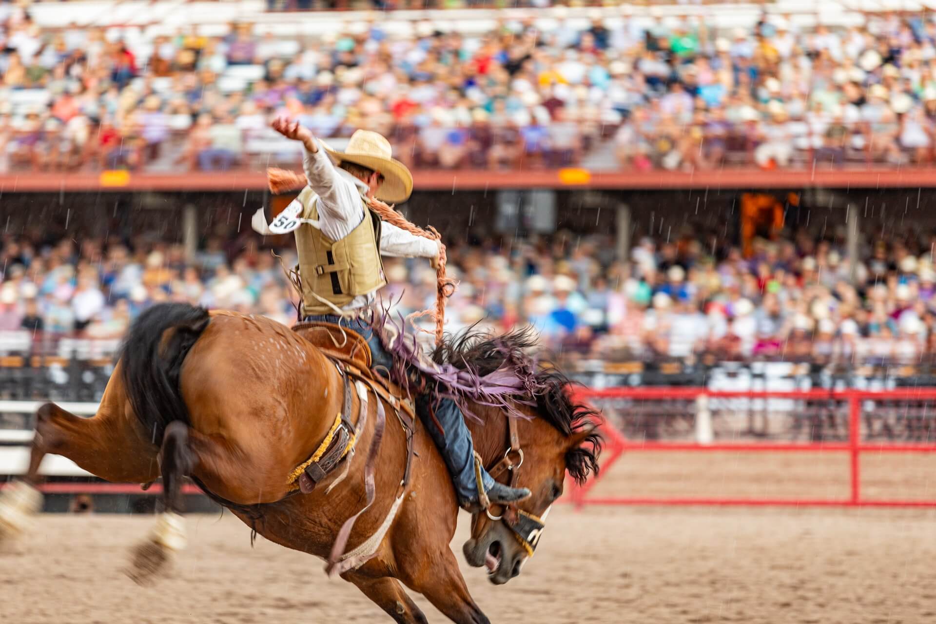 A man riding a bucking horse before a stadium filled with people at Cheyenne Frontier Days.
