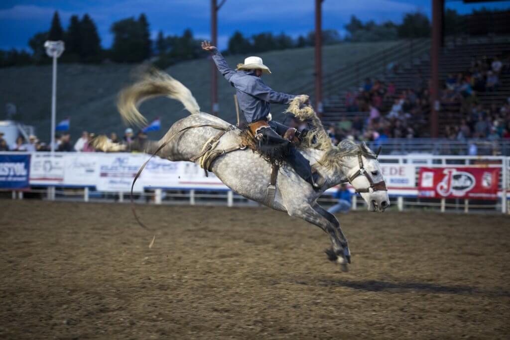 A man riding a bucking horse in front of stadium of people at the Cody Night Rodeo.