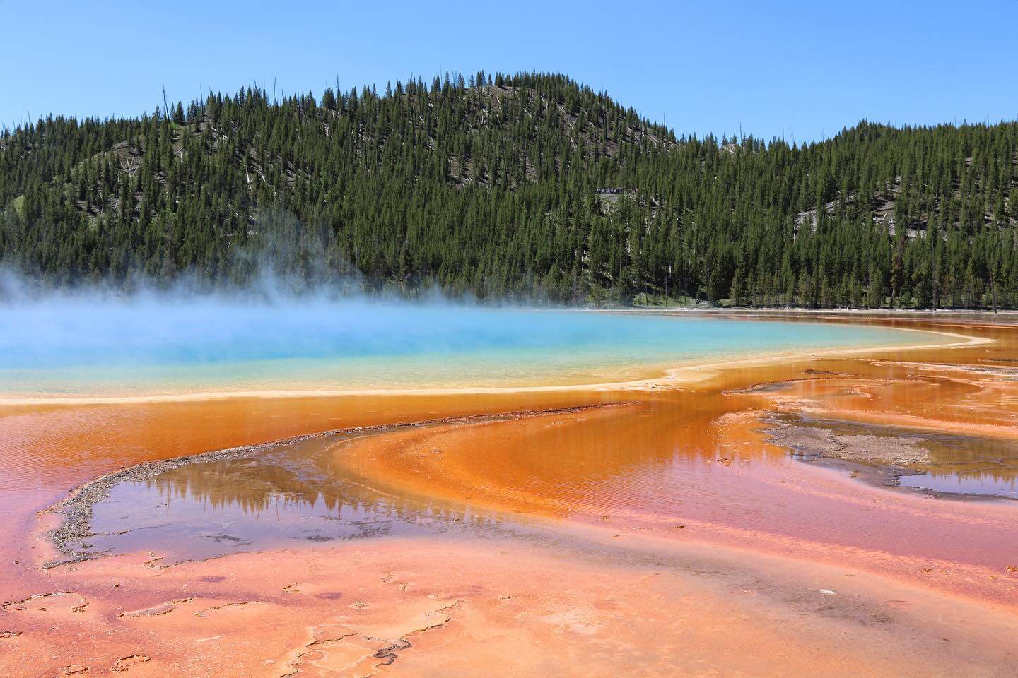 Family-Friendly Yellowstone National Park