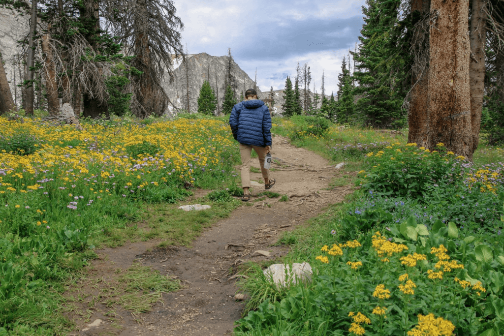 A traveler in a blue jacket carries a water bottle as he strolls on a path into the Medicine Bow-Routt National Forest and Thunder Basin National Grassland, yellow flowers popping through on both sides of the trail. 