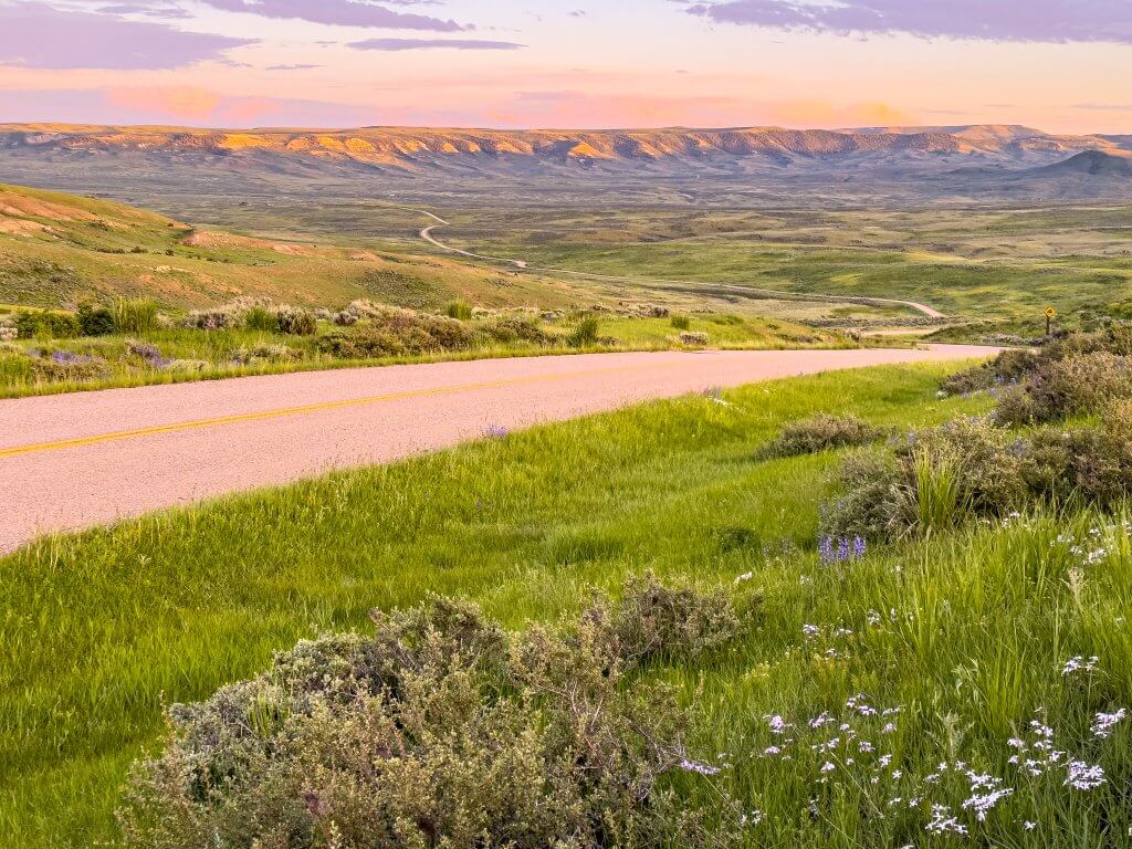 Gorgeous flowers bloom among the grass swaying on either side of the scenic drive through to Fossil Butte National Monument as a pink and purple sunset glows above the idyllic valley.
