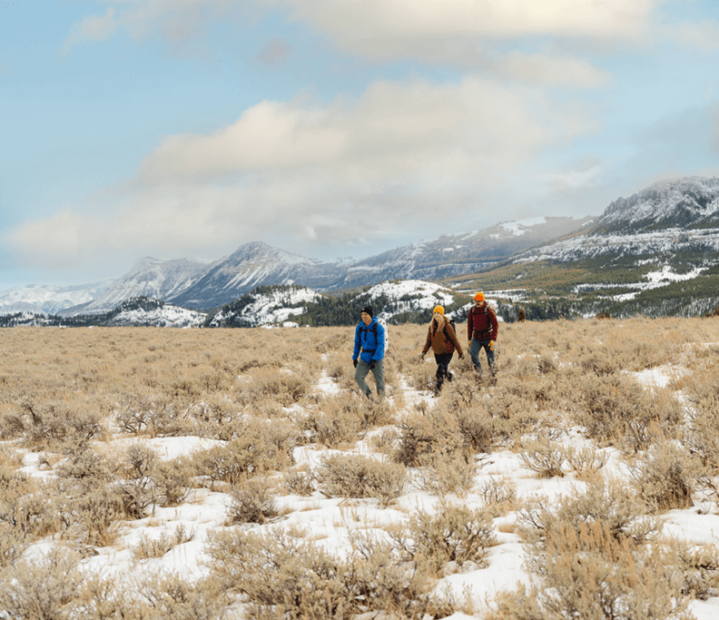 a group of people walking in a snowy field in Cody Wyoming