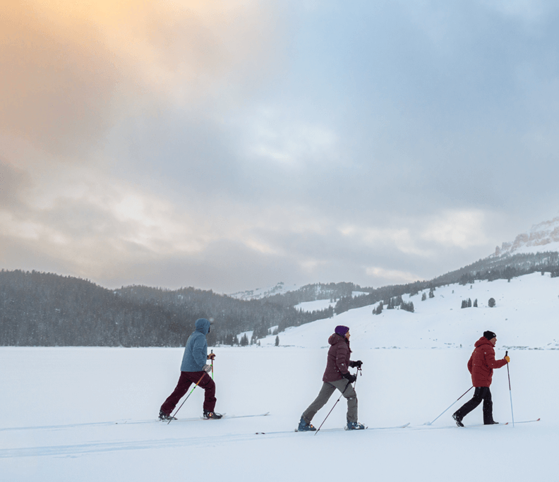 a group of people cross country skiing on snow in Cody Wyoming